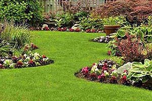 Çevre Düzenleme ve Peyzaj Hizmetleri